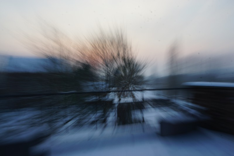 Illustration for article titled Zoom Photo Challenge Gallery 2
